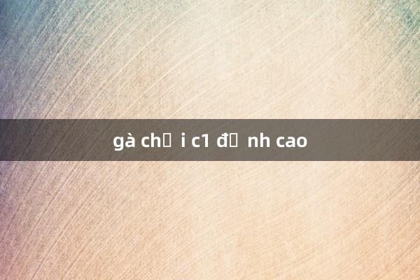 gà chọi c1 đỉnh cao