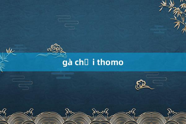 gà chọi thomo