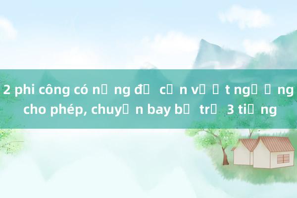 2 phi công có nồng độ cồn vượt ngưỡng cho phép， chuyến bay bị trễ 3 tiếng