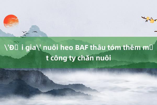 'Đại gia' nuôi heo BAF thâu tóm thêm một công ty chăn nuôi