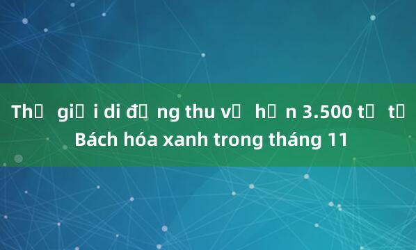 Thế giới di động thu về hơn 3.500 tỉ từ Bách hóa xanh trong tháng 11