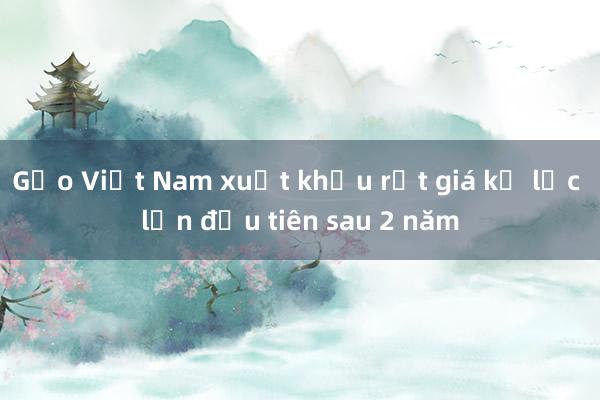 Gạo Việt Nam xuất khẩu rớt giá kỷ lục lần đầu tiên sau 2 năm