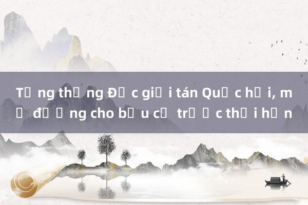 Tổng thống Đức giải tán Quốc hội， mở đường cho bầu cử trước thời hạn