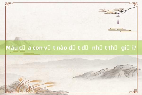 Máu của con vật nào đắt đỏ nhất thế giới?